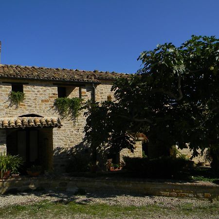 Azienda Agrituristica Colle San Giorgio Castiglione Messer Raimondo Buitenkant foto