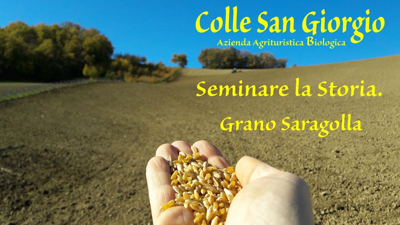 Azienda Agrituristica Colle San Giorgio Castiglione Messer Raimondo Buitenkant foto