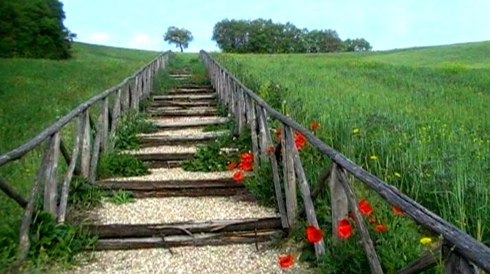 Azienda Agrituristica Colle San Giorgio Castiglione Messer Raimondo Buitenkant foto